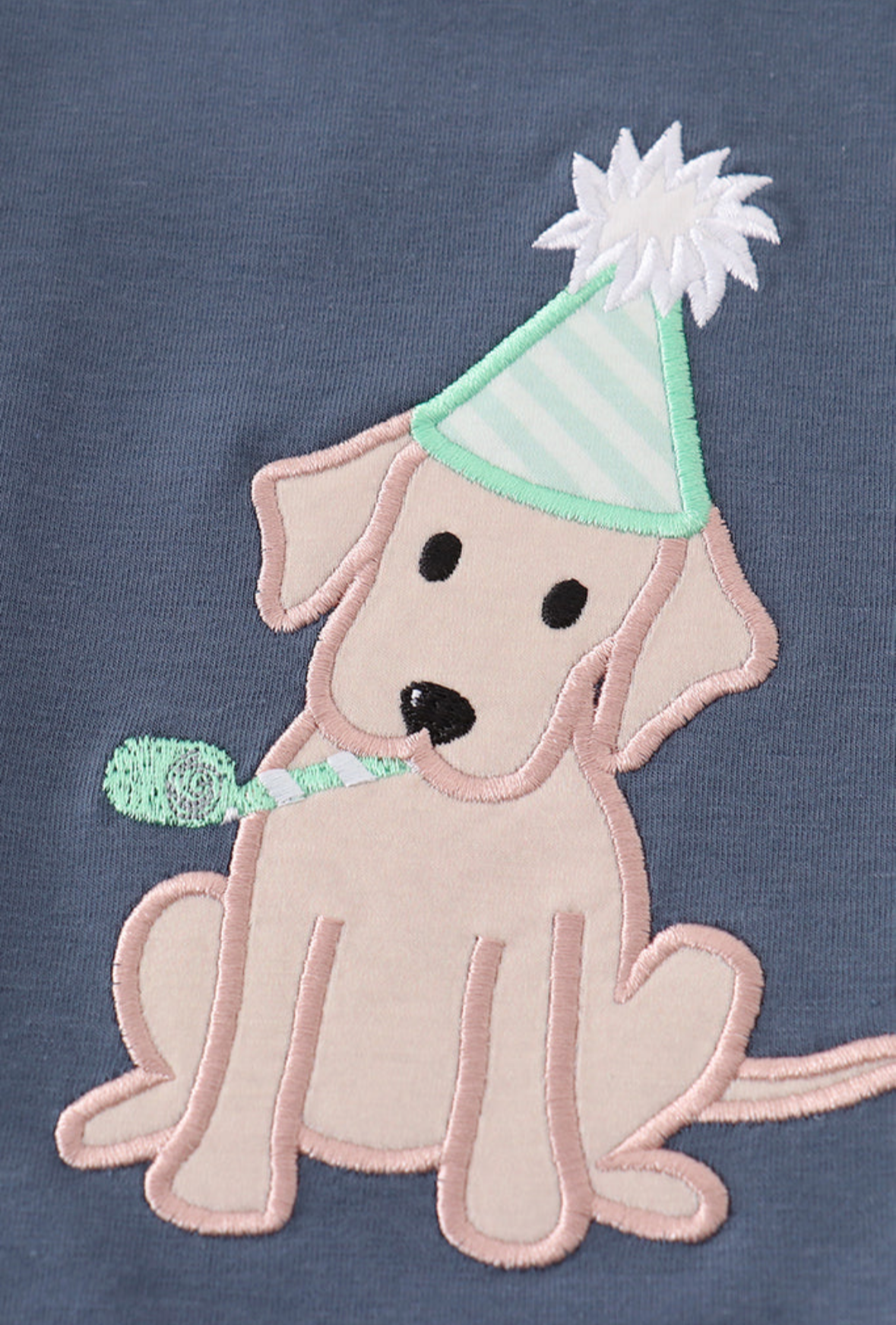 Boys Birthday Puppy Gingham Set