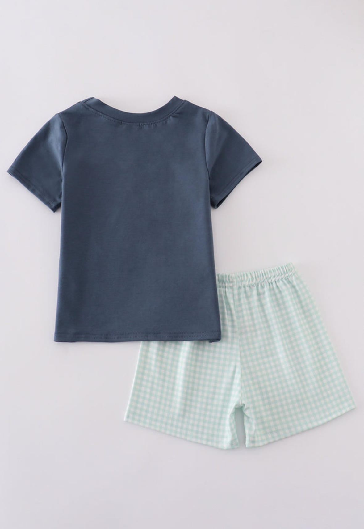 Boys Birthday Puppy Gingham Set